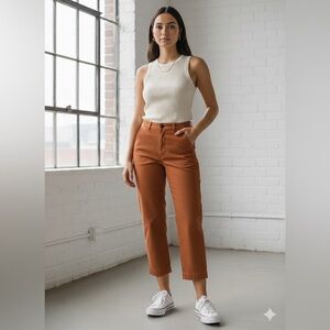 Everlane Pants Terracotta Brown High-Waist Cropped Straight Casual Woman Sz 12